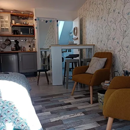 Tres Beau Studio Climatisation, Trois Etoiles, Parking A Velo, Velos En Option, Parking Prive Jardin Montargis Exterior photo