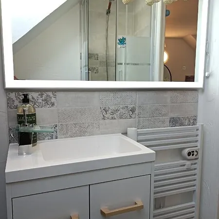 Tres Beau Studio Climatisation, Trois Etoiles, Parking A Velo, Velos En Option, Parking Prive Jardin Montargis Exterior photo