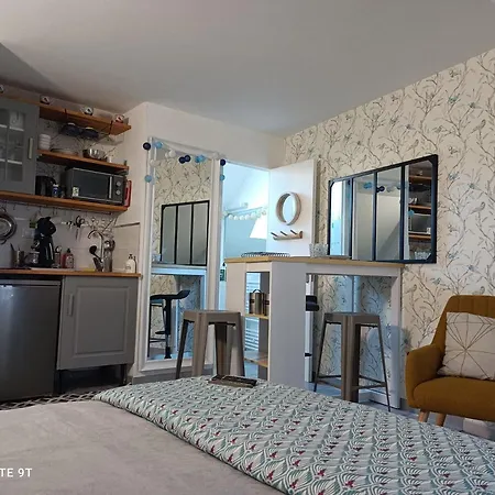 Tres Beau Studio Climatisation, Trois Etoiles, Parking A Velo, Velos En Option, Parking Prive Jardin Montargis Exterior photo