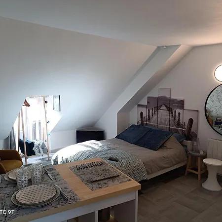 Tres Beau Studio Climatisation, Trois Etoiles, Parking A Velo, Velos En Option, Parking Prive Jardin Montargis Exterior photo