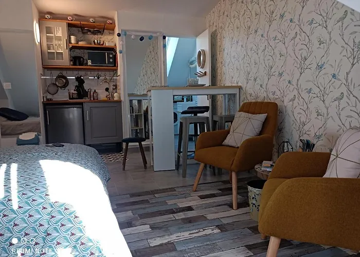 Tres Beau Studio Climatisation, Trois Etoiles, Parking A Velo, Velos En Option, Parking Prive Jardin