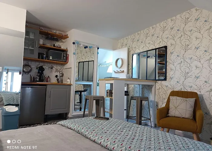 Tres Beau Studio Climatisation, Trois Etoiles, Parking A Velo, Velos En Option, Parking Prive Jardin