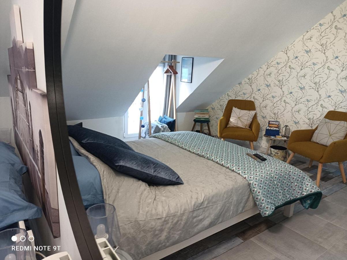 Tres Beau Climatisation, Trois Etoiles, Parking A Velo, Velos En Option, Parking Prive Jardin Apartment