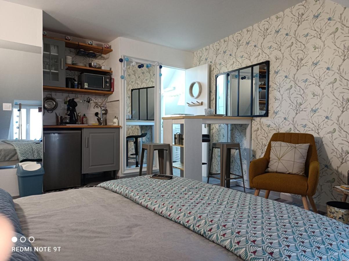 Tres Beau Climatisation, Trois Etoiles, Parking A Velo, Velos En Option, Parking Prive Jardin Apartment Montargis