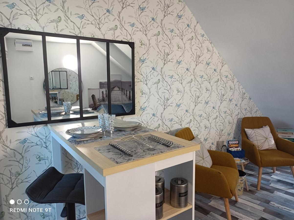 Apartment Tres Beau Climatisation, Trois Etoiles, Parking A Velo, Velos En Option, Parking Prive Jardin