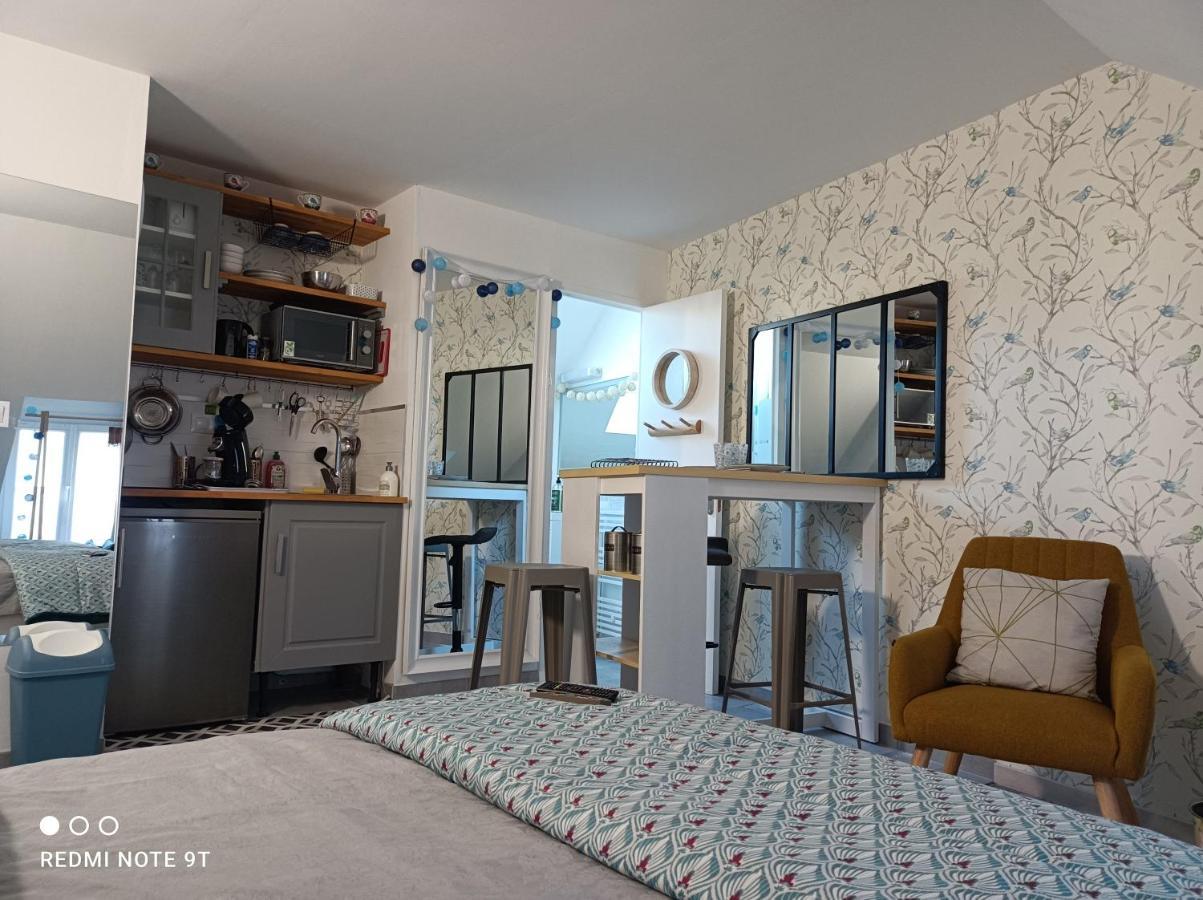 Apartment Tres Beau Climatisation, Trois Etoiles, Parking A Velo, Velos En Option, Parking Prive Jardin Montargis